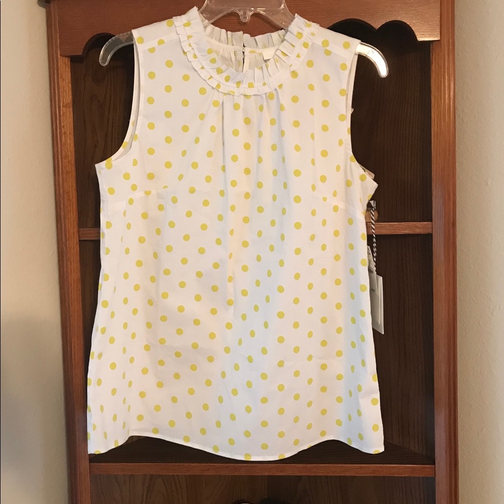 1901 blouse